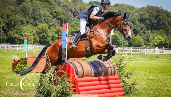 Les jeunes chevaux en nombre à Jardy