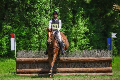 Prix du Meilleur Eleveur et Propriétaire à Pompadour, au Vernet et à Brazey