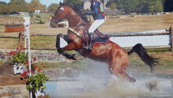 Eusteule d’Uhart et Emir de St-Martin, meilleurs 7 ans Amateur à Ste-Hélène et Giraumont