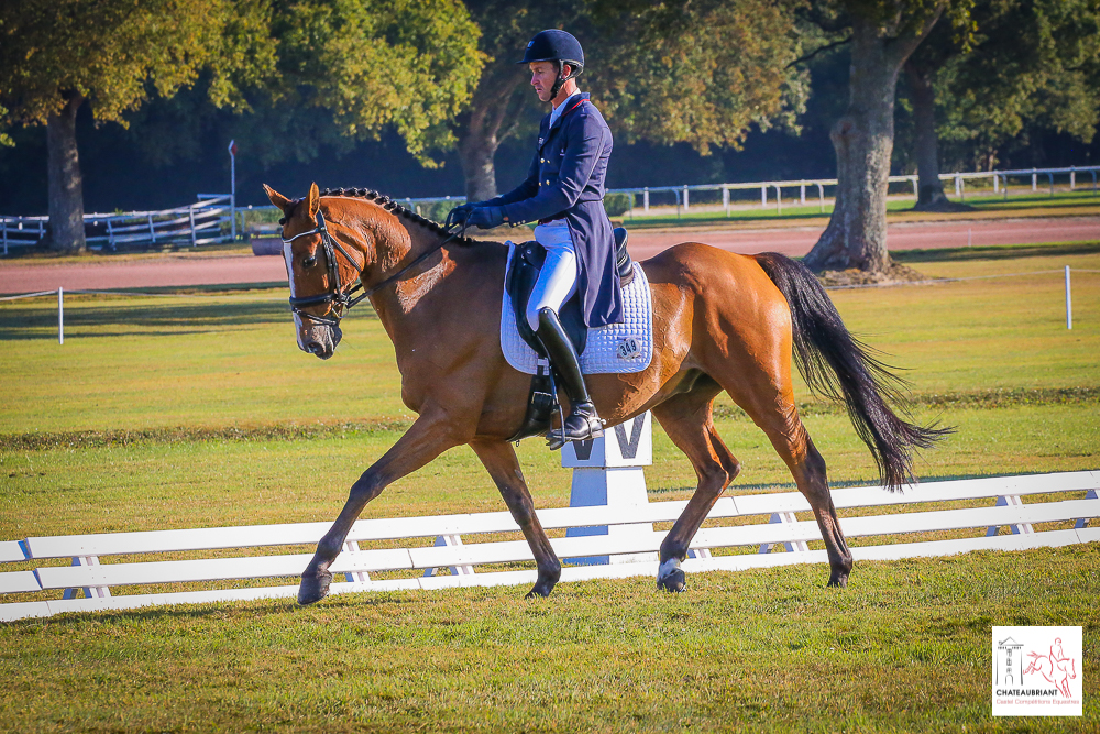 International de Chateaubriant : jour de dressage