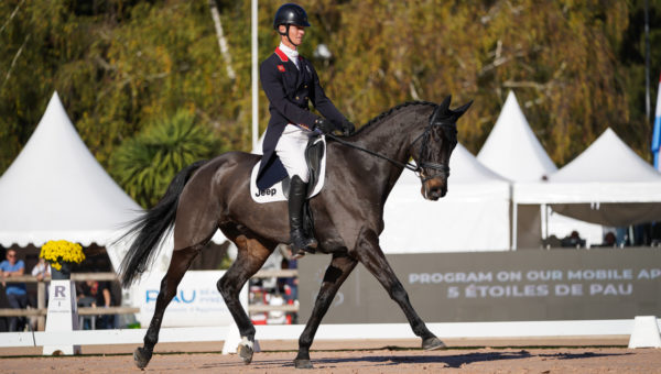 CCI5* Les 5 Etoiles de Pau – Dressage J1