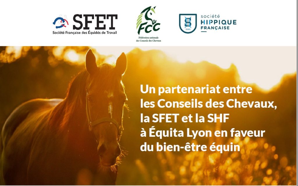 Un partenariat Conseil des Chevaux/SFET/SHF en faveur du bien-être équin