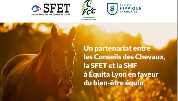 Un partenariat Conseil des Chevaux/SFET/SHF en faveur du bien-être équin