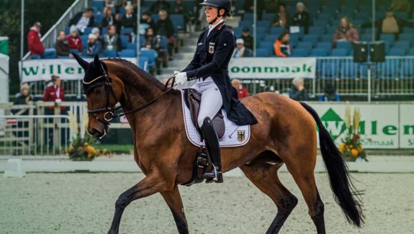 CCIO4*L de Boekelo : Sophie Leube et J’Adore Moi tiennent la tête