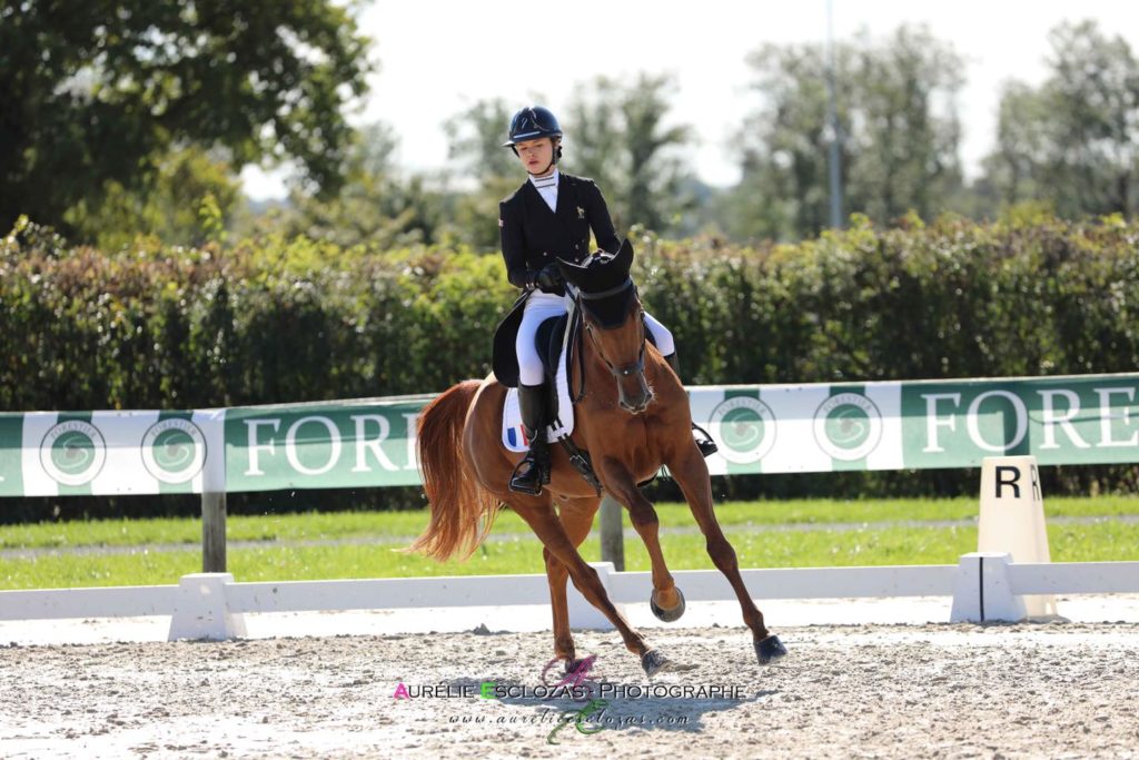 CH-EU Jeunes Hartpury (UK) : J4, suite et fin des dressages