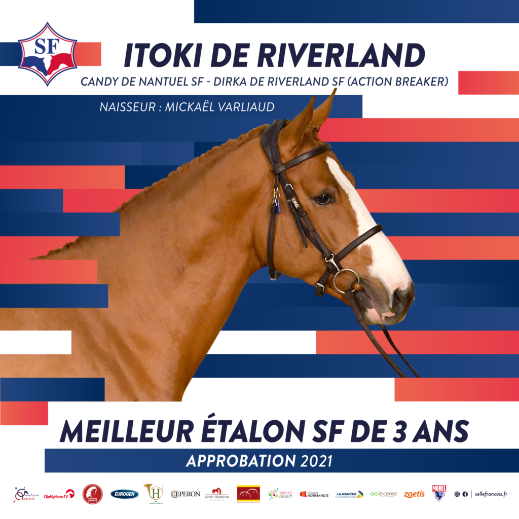 Approbations Selle Français : Itoki de Riverland meilleur 3 ans !