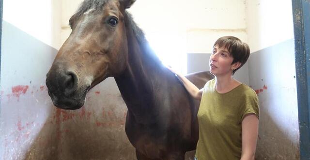 Le bien-être équin au travers d’Alice Ruet : « il est clair que la santé mentale et physique des chevaux est liée à leur performance »