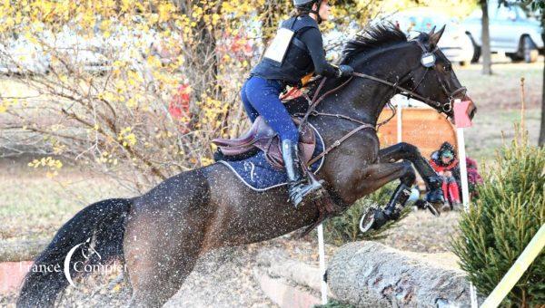 Fontendaya de L’O et Jealous Guy Ysandre, meilleurs 7 ans à Vedène et à Saumur