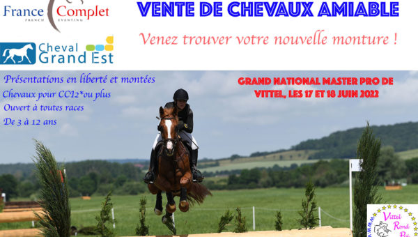 Une vente amiable de chevaux de CCE pendant le Master Pro de Vittel !