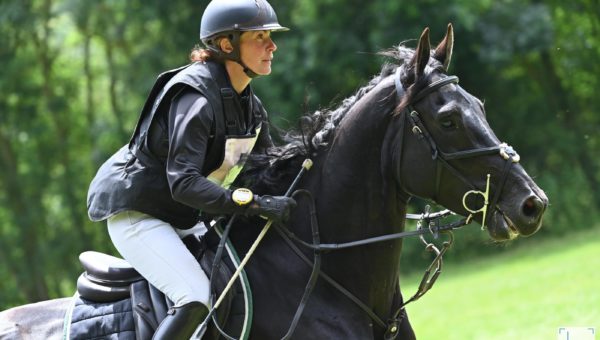 Heroe de Cafeny : un étalon « bienveillant » et performant