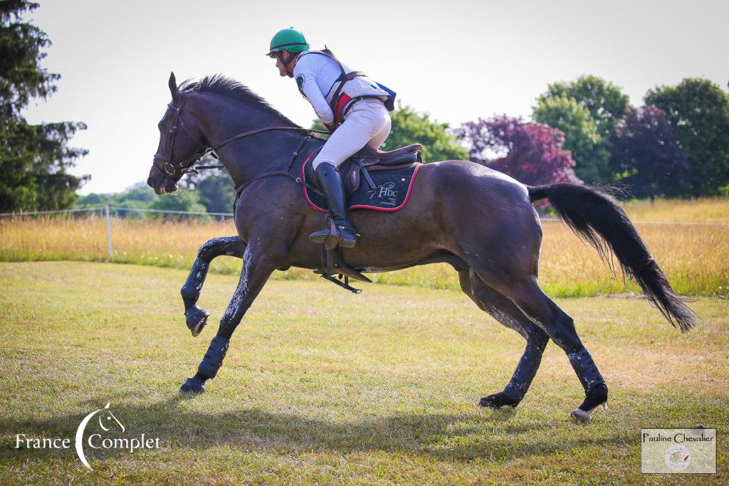 Nicolas Touzaint et Absolut Gold*HDC (P Chevalier)