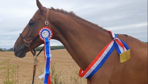 Magali Villevieille et Lady Lord W et W Z, Championnes de France Majors à Bazoges-en-Pareds