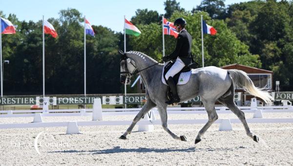 Le Grand Complet CCIO4*-NC-S : dressage J2, Michael Jung dans son élément