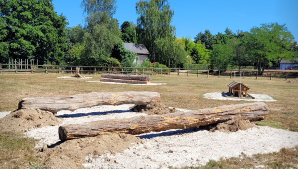 Le Haras de Lamballe pallie à une « pénurie » de spring gardens en Côtes d’Armor