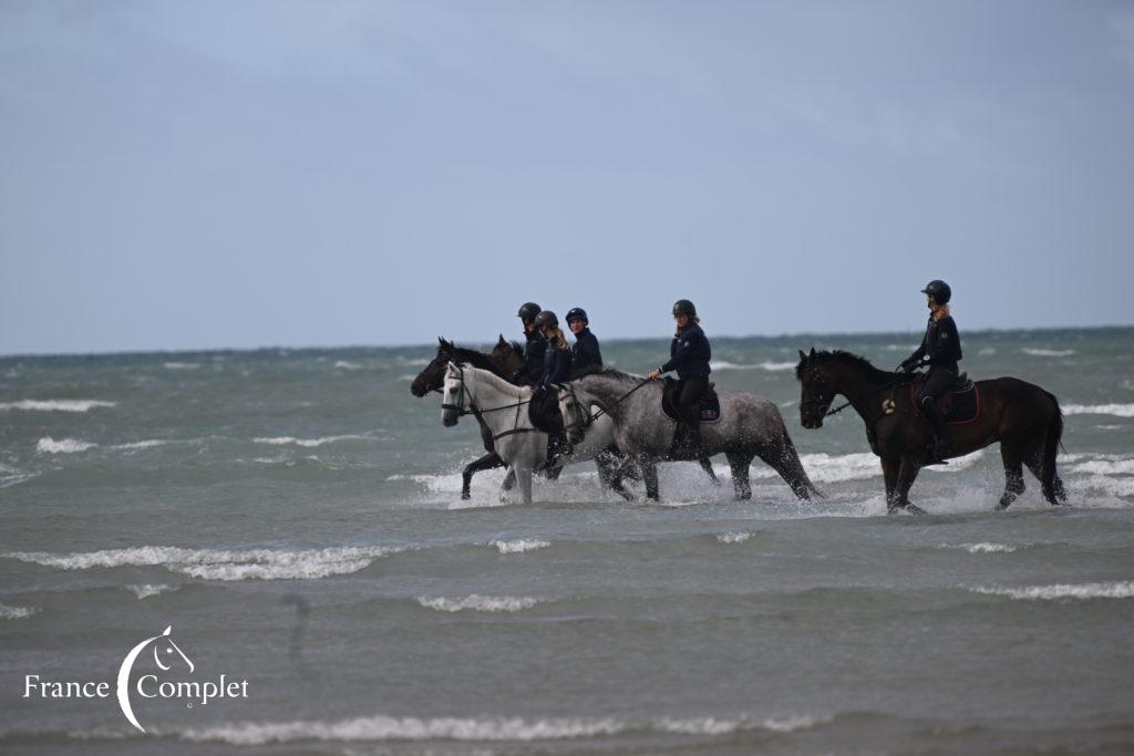 Dernier galop : rendez-vous avec l’équipe à Saint-Martin de Bréhal