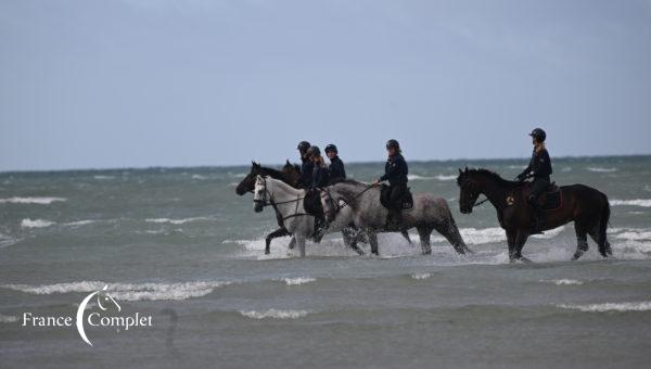 Dernier galop : rendez-vous avec l’équipe à Saint-Martin de Bréhal