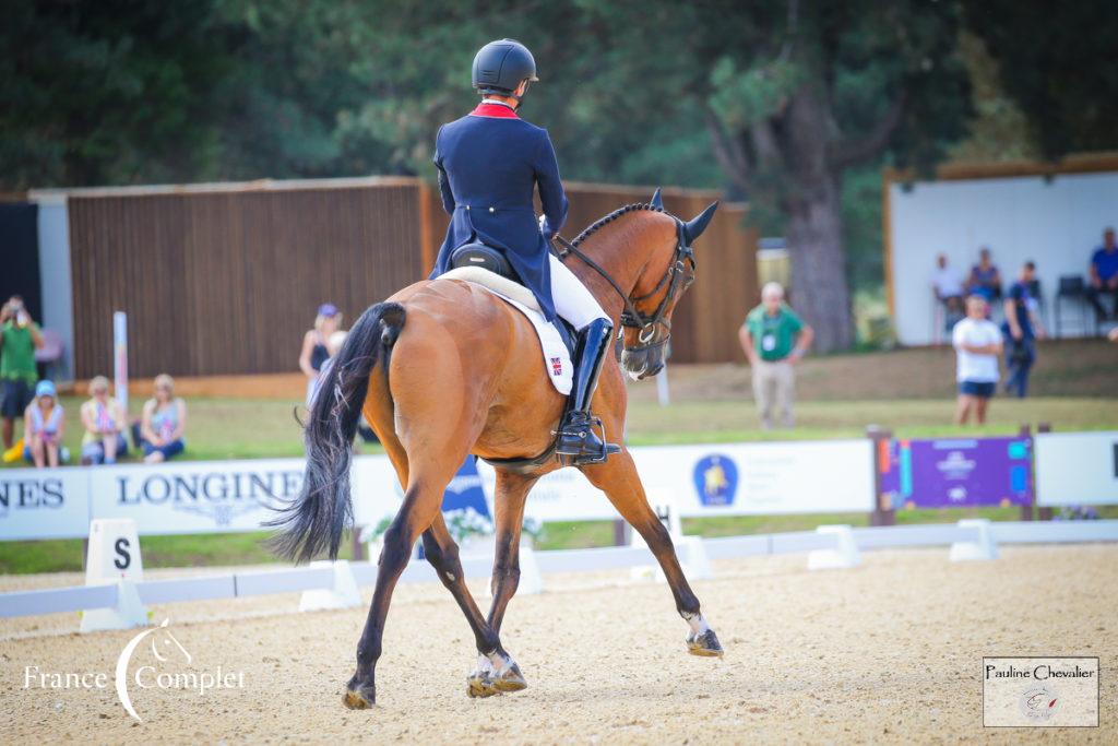 Tom Mcewen et Toledo de Kerser (P Chevalier)