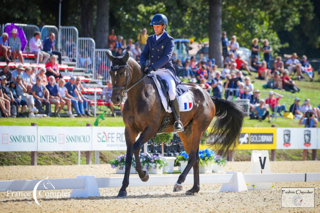 Nicolas Touzaint et Absolut Gold*HDC (P Chevalier)