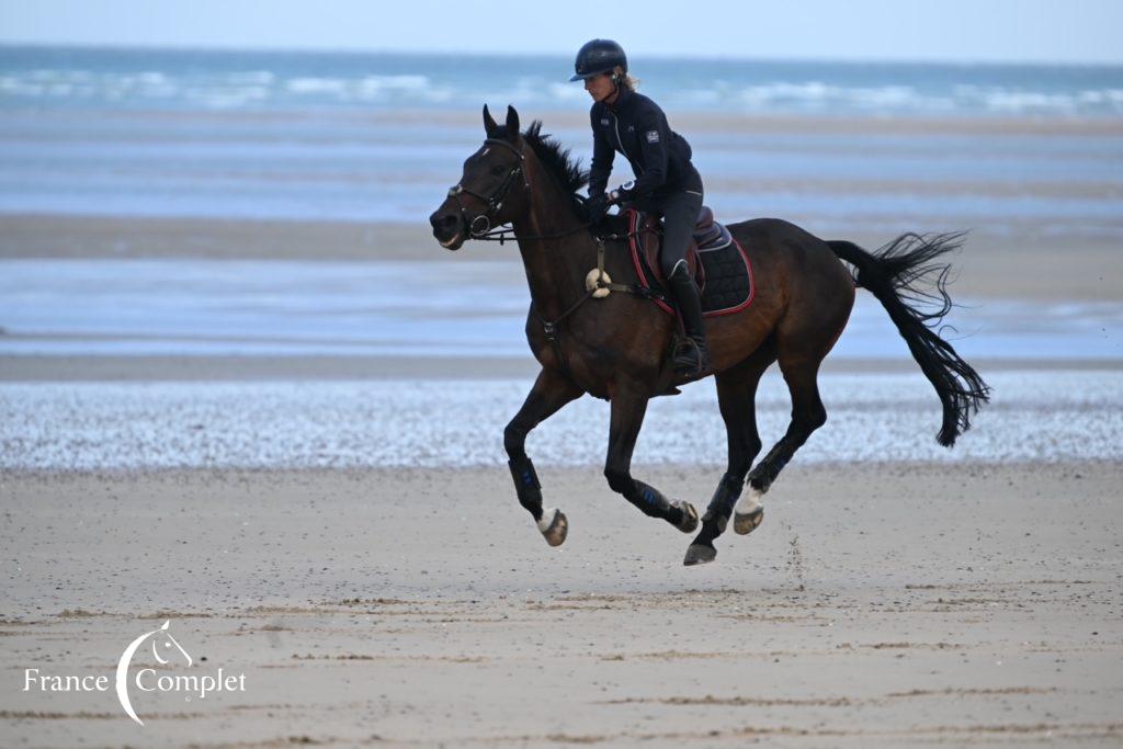 Journées du Complet 2023 : L’impact des innovations pour une équitation performante et respectueuse  du bien-être équin