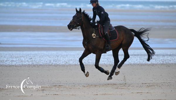 Journées du Complet 2023 : L’impact des innovations pour une équitation performante et respectueuse  du bien-être équin