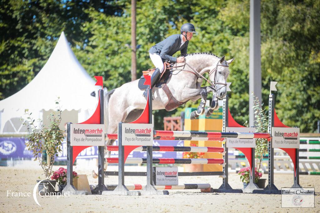 Les jeunes chevaux ont fait leur rentrée au Pouget et à Saumur