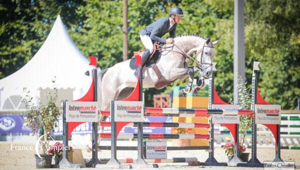 Les jeunes chevaux ont fait leur rentrée au Pouget et à Saumur