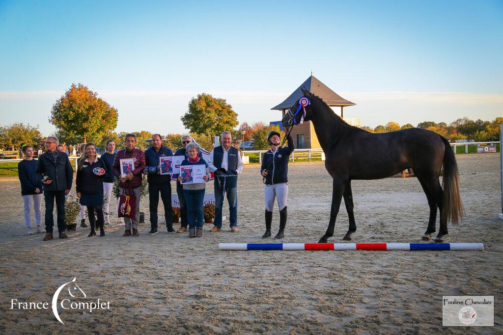 Junior de la Mouline ( P Chevalier)