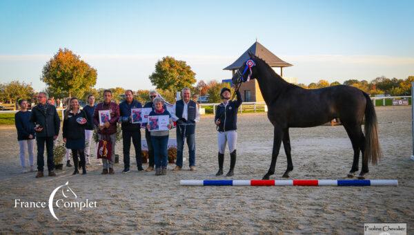Élevage de la Mouline : Dans les coulisses d’un élevage familial devenu référence