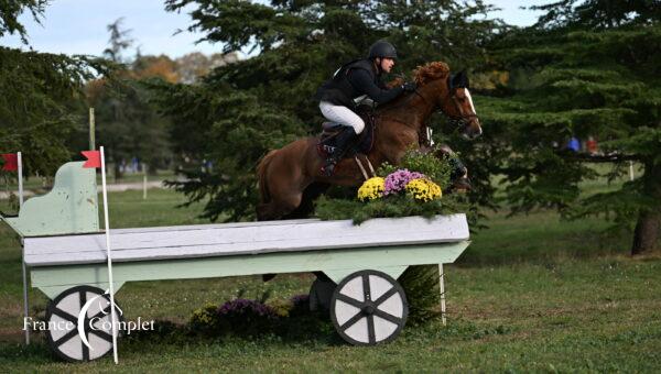 Remettre son cheval au travail après une pause