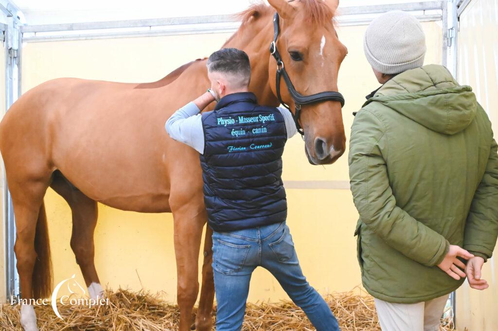 Florian Courraud, physiothérapeute équin