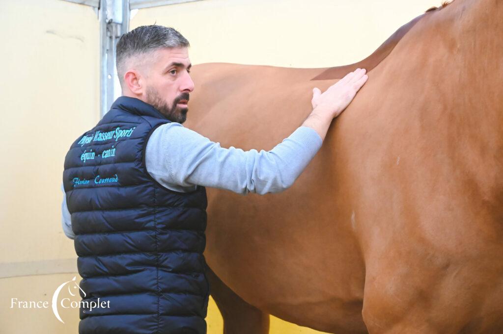 Journées du Complet 2023 – Physiologie : Préparation et Récupération du cheval de sport