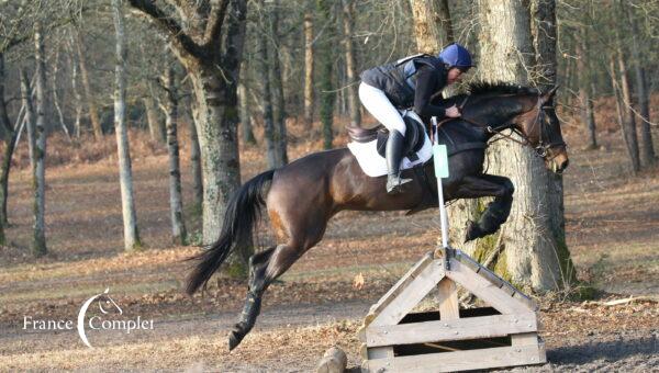 Les « G » continuent de se démarquer sur le Circuit des 7 ans Amateur !