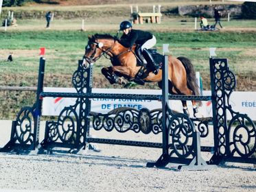 [CH-EU Poneys] CHAMPIONS D’EUROPE ! Mais pas que…