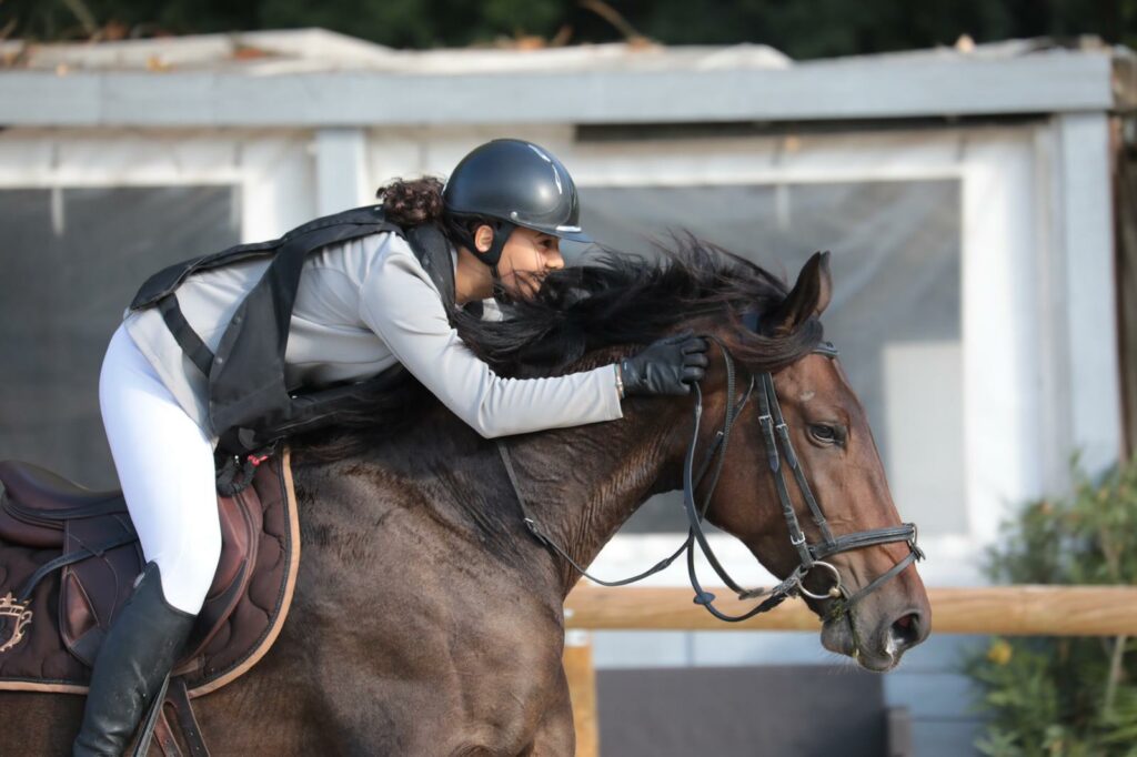 Trois chevaux se démarquent sur le Circuit des 7 ans Amateur à Pompadour !