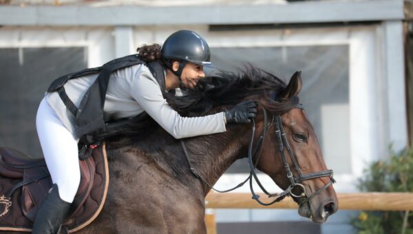 Trois chevaux se démarquent sur le Circuit des 7 ans Amateur à Pompadour !