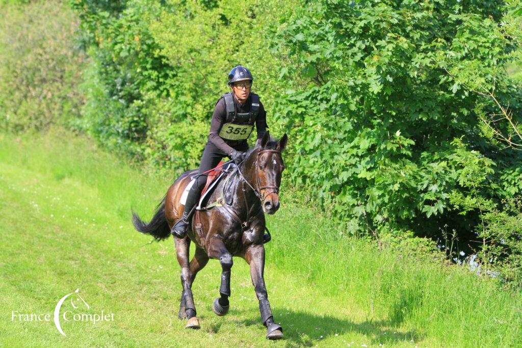 Jour de dressage au SQY Eventing Show