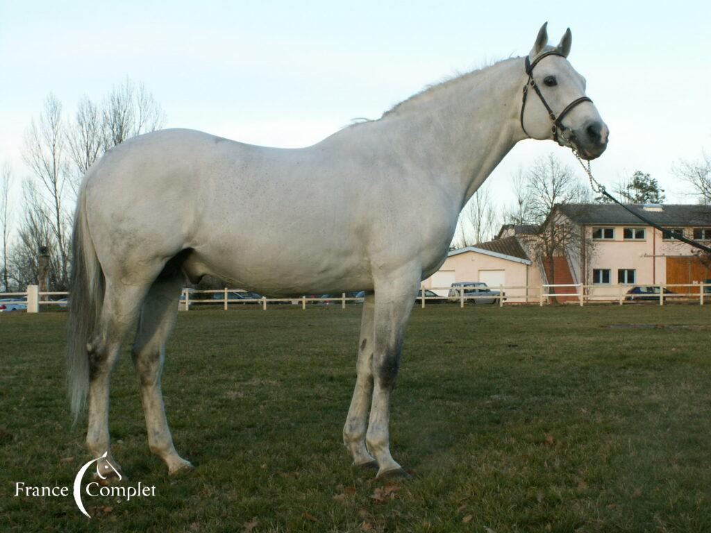 Tunes of glory - P Chevalier