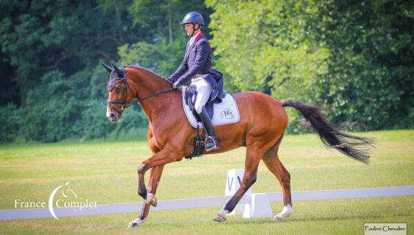 CCI Lignières : Nicolas Touzaint prend la troisième place après le dressage du 4*-S