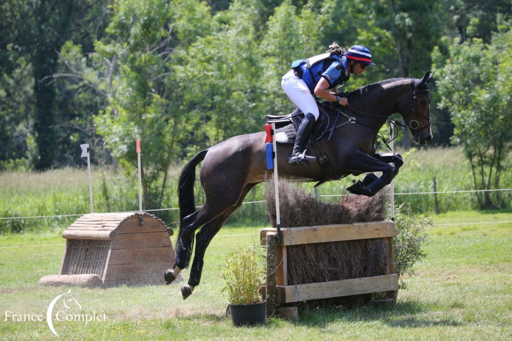 Les Jeunes Chevaux selon Sébastien Cavaillon : passion, patience et persévérance