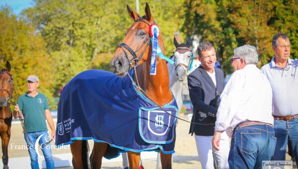 Jumpy Florentines saute vers la victoire chez les 4 ans à Pompadour