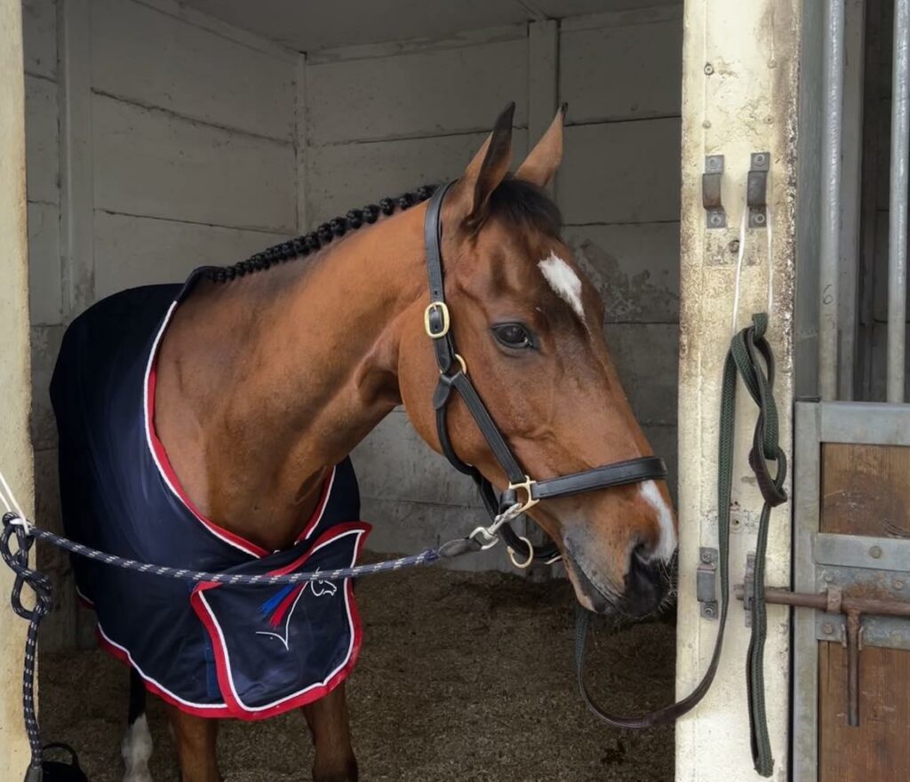 Pau à travers les yeux de Bettina Cardi : 2ème jour de dressage