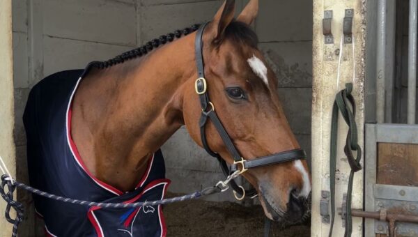 Pau à travers les yeux de Bettina Cardi : 2ème jour de dressage