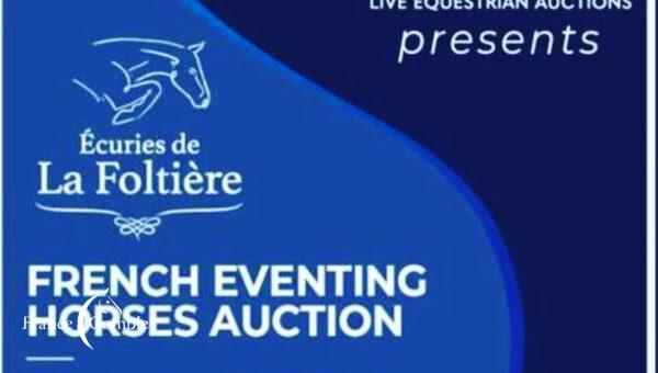 Première vente online de chevaux de CCE !