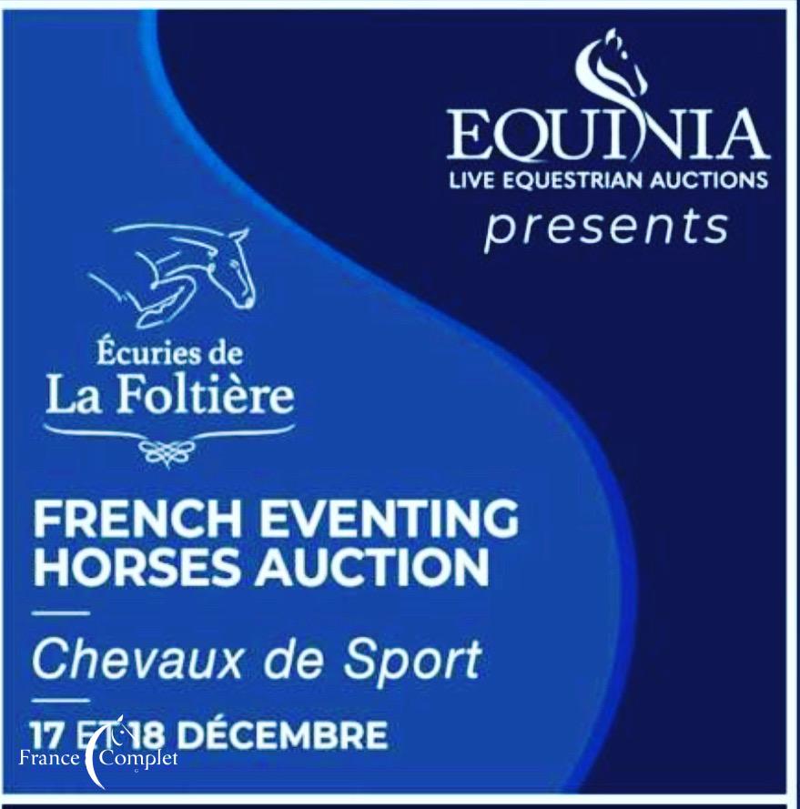 Première vente online de chevaux de CCE !