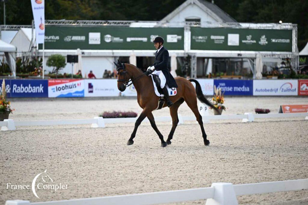 CCI4*-L de Boekelo J2 : deux français dans le top 10 à l’issue du dressage !