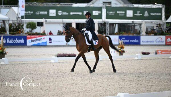 CCI4*-L de Boekelo J2 : deux français dans le top 10 à l’issue du dressage !