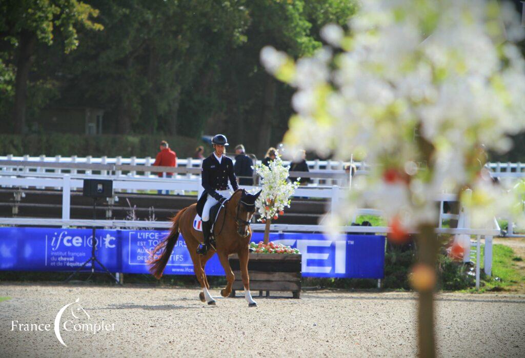 Les Jeunes Chevaux tricolores se démarquent sur le dressage au Mondial du Lion !