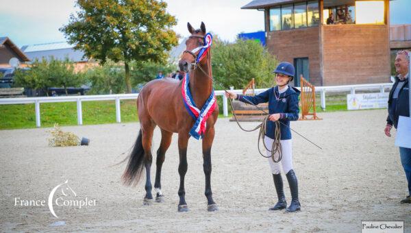 Les Espoirs du Complet : Korcovado du Louet, champion 2023 !