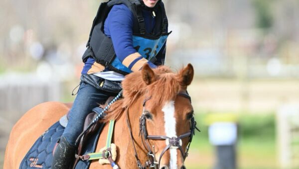 Portrait de Cav’ Poney – Allister Muriel, gagnante de l’As Poney Elite de Cornillon avec Coccinelle de la Rive