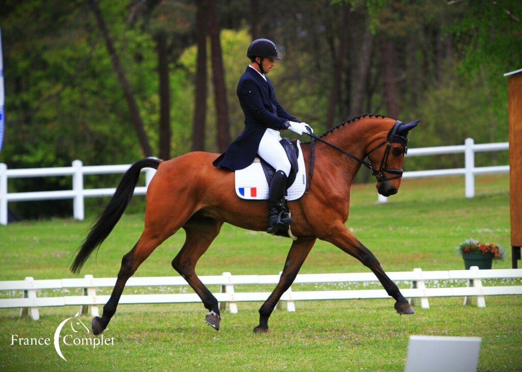 CCI Saumur : Sébastien Cavaillon s’offre la tête à l’issue du dressage avec Elipso de la Vigne